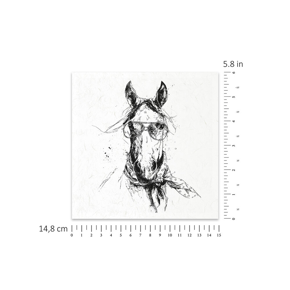 ITD Collection Animals 6x6 Inch Rice Paper Set (RSM 252)