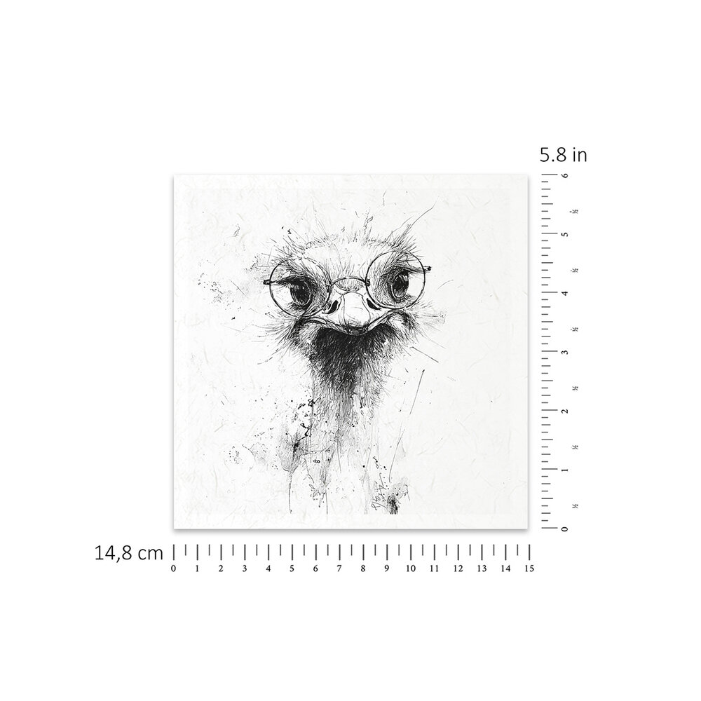 ITD Collection Animals 6x6 Inch Rice Paper Set (RSM 253)