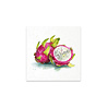 ITD Collection Tropical Dreams vol.2 6x6 Inch Rice Paper Set (RSM 266)