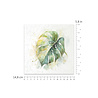 ITD Collection Tropical Dreams vol.2 6x6 Inch Rice Paper Set (RSM 278)