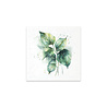 ITD Collection Tropical Dreams vol.2 6x6 Inch Rice Paper Set (RSM 278)
