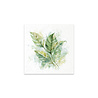ITD Collection Tropical Dreams vol.2 6x6 Inch Rice Paper Set (RSM 278)