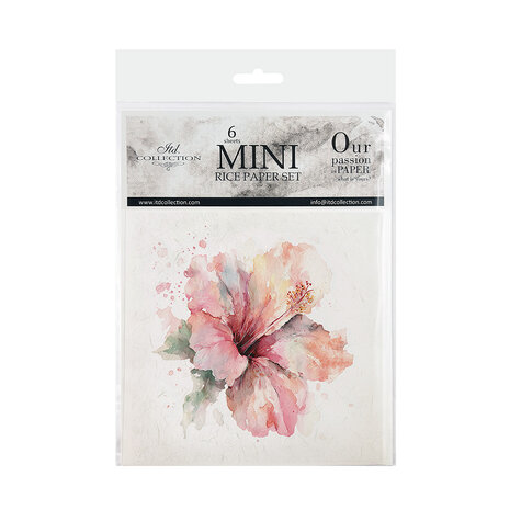ITD Collection Tropical Dreams vol.2 6x6 Inch Rice Paper Set (RSM 279)