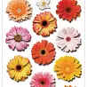 Craft Consortium 3D Decoupage Stickers Flowers (CESTK001)
