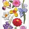 Craft Consortium 3D Decoupage Stickers Flowers (CESTK007) Craft Consortium 3D Decoupage Stickers Flowers (CESTK007)