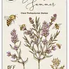 Craft Consortium Vintage Summer A6 Clear Stamps Bee & Lavender by Olena Kovalova (CCSTMP101) Craft Consortium Vintage Summer A6 Clear Stamps Bee & Lavender by Olena Kovalova (CCSTMP101)