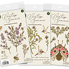 Craft Consortium Vintage Summer A6 Clear Stamps Ladybug & Daisy by Olena Kovalova (CCSTMP102) Craft Consortium Vintage Summer A6 Clear Stamps Ladybug & Daisy by Olena Kovalova (CCSTMP102)