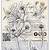 Craft Consortium Vintage Summer A6 Clear Stamps Hummingbird by Olena Kovalova (CCSTMP103) Craft Consortium Vintage Summer A6 Clear Stamps Hummingbird by Olena Kovalova (CCSTMP103)