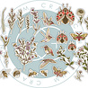 Craft Consortium Vintage Summer Premium Ephemera Set by Olena Kovalova (CCEPH015)