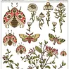 Craft Consortium Vintage Summer Premium Rub-on Transfers Set by Olena Kovalova (CCRUBT009)