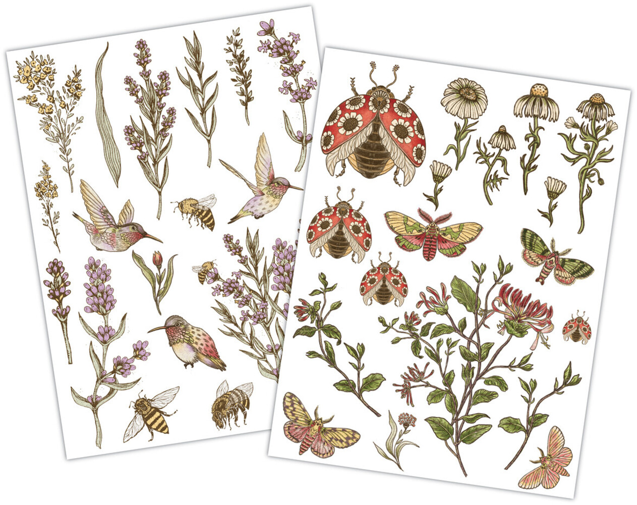 Craft Consortium Vintage Summer Premium Rub-on Transfers Set by Olena Kovalova (CCRUBT009)