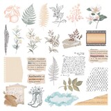Spellbinders PRE-ORDER Clementine Die Cut Clear Stickers (169295)