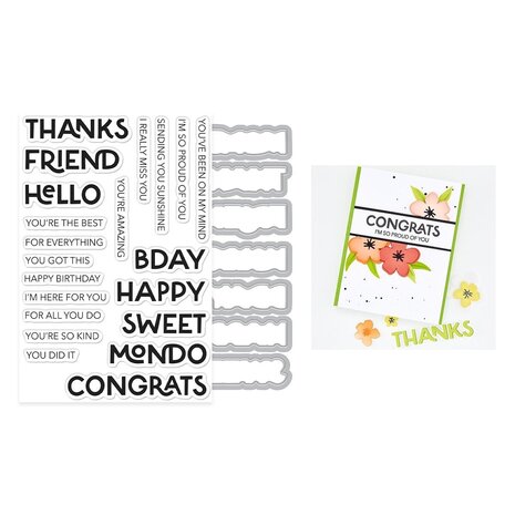 Hero Arts Fresh Flowers Stamps & Dies Perfect Pairs (DC355) Hero Arts Fresh Flowers Stamps & Dies Perfect Pairs (DC355)