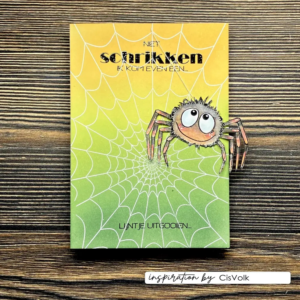 Vaessen Creative Hello Autunm A6 Clear Stamps Spiderweb by Carla Creates (CAR0507) Vaessen Creative Hello Autunm A6 Clear Stamps Spiderweb by Carla Creates (CAR0507)