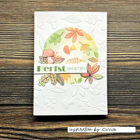 Vaessen Creative Hello Autumn 6x6 Inch Embossing Folder Leaves by Carla Creates (CAR0509) Vaessen Creative Hello Autumn 6x6 Inch Embossing Folder Leaves by Carla Creates (CAR0509)