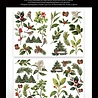 Arden Creative Studio Christmas Cheer Laser Cuts Foliage (ACSLC0010) Arden Creative Studio Christmas Cheer Laser Cuts Foliage (ACSLC0010)