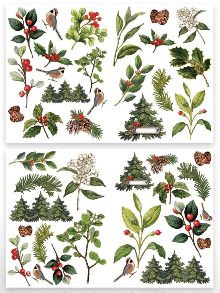 Arden Creative Studio Christmas Cheer Laser Cuts Foliage (ACSLC0010) Arden Creative Studio Christmas Cheer Laser Cuts Foliage (ACSLC0010)