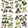Arden Creative Studio Christmas Cheer Laser Cuts Foliage (ACSLC0010) Arden Creative Studio Christmas Cheer Laser Cuts Foliage (ACSLC0010)