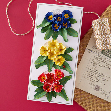 Spellbinders Serenity Garden Primrose Dies (S2-447)