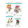 Spellbinders Serenity Garden Die Bundle (BD-1052)