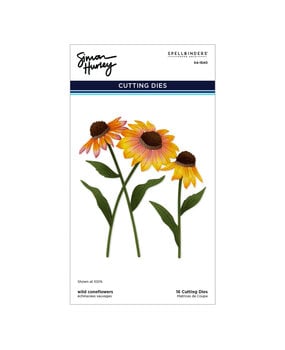 Spellbinders PRE-ORDER Cascading Coneflowers Wild Coneflowers Dies (S4-1540)
