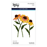 Spellbinders Cascading Coneflowers Wild Coneflowers Dies (S4-1540)