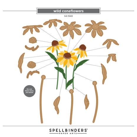 Spellbinders Cascading Coneflowers Wild Coneflowers Dies (S4-1540)