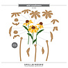 Spellbinders Cascading Coneflowers Wild Coneflowers Dies (S4-1540)