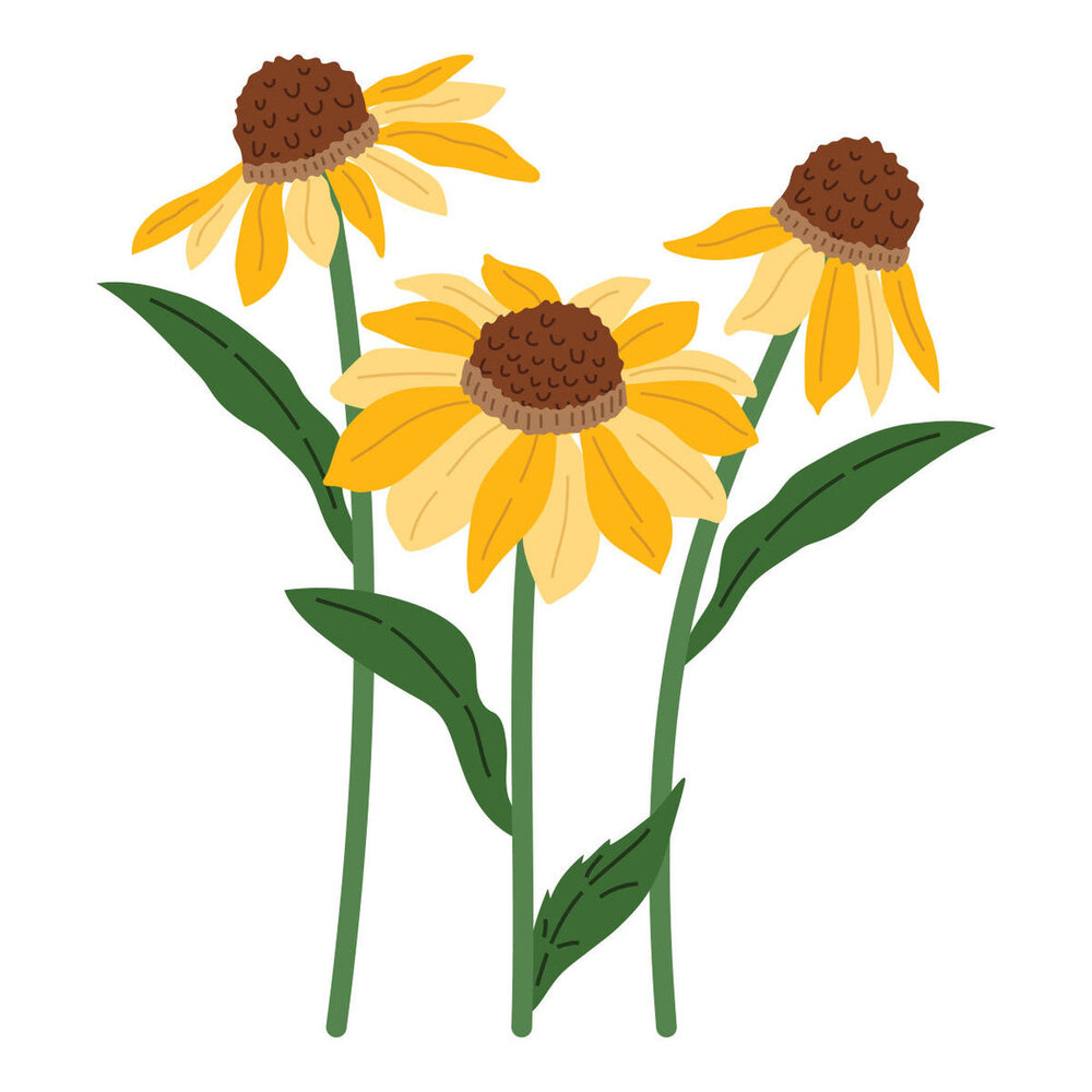 Spellbinders Cascading Coneflowers Wild Coneflowers Dies (S4-1540)