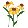 Spellbinders Cascading Coneflowers Wild Coneflowers Dies (S4-1540)