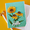 Spellbinders Cascading Coneflowers Wild Coneflowers Dies (S4-1540)