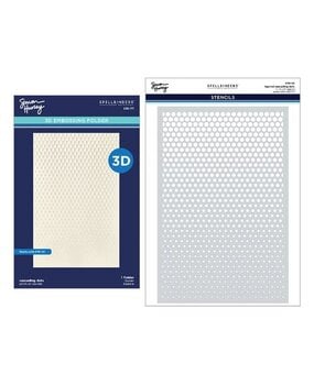 Spellbinders PRE-ORDER Cascading Coneflowers Cascading Dots 3D Folder and Stencil Bundle (BD-1089)