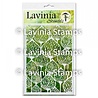 Lavinia Stamps Masking Stencil Pods (ST011)