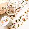 Nikki Dotti PET Tape 50mm Kitchen Garden (Kiss Cut)