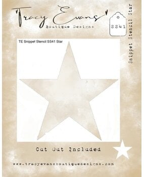 Tracy Evans Star 4x4 Inch Snippet Stencil (SS041)