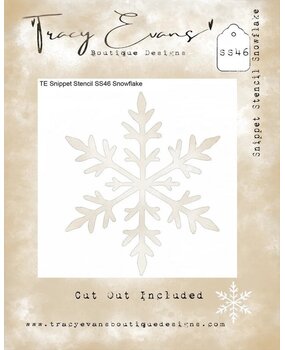 Tracy Evans Snowflake 4x4 Inch Snippet Stencil (SS046)