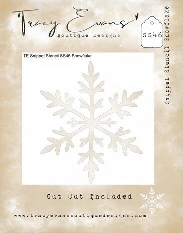 Tracy Evans Snowflake 4x4 Inch Snippet Stencil (SS046)