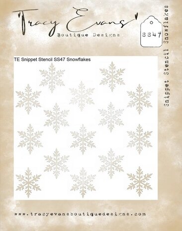 Tracy Evans Snowflakes 4x4 Inch Snippet Stencil (SS047)