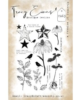 Tracy Evans A Promise Of Tomorrow A5 Clear Stamp (TE063)