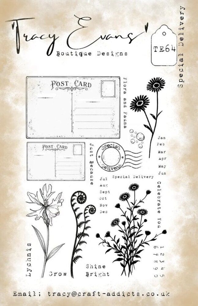 Tracy Evans Special Delivery A5 Clear Stamp (TE064)