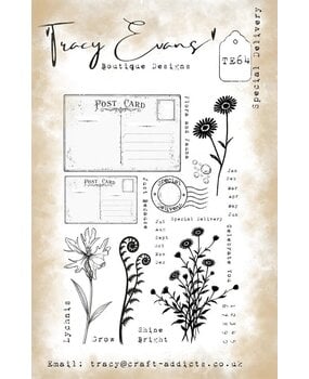 Tracy Evans Special Delivery A5 Clear Stamp (TE064)