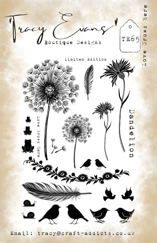 Tracy Evans Love Grows Here A5 Clear Stamp (TE065)