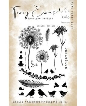 Tracy Evans Love Grows Here A5 Clear Stamp (TE065)