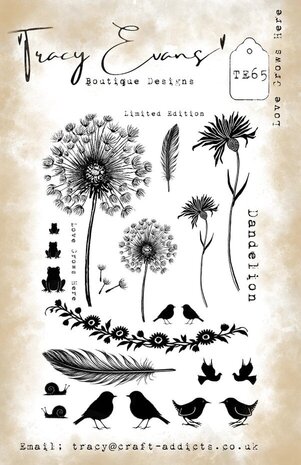 Tracy Evans Love Grows Here A5 Clear Stamp (TE065)