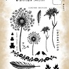 Tracy Evans Love Grows Here A5 Clear Stamp (TE065)