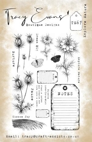 Tracy Evans Explore Nature A5 Clear Stamp (TE067)