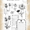 Tracy Evans Explore Nature A5 Clear Stamp (TE067)