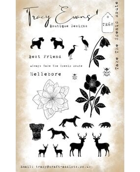 Tracy Evans Take The Scenic Route A6 Clear Stamp (TE068)