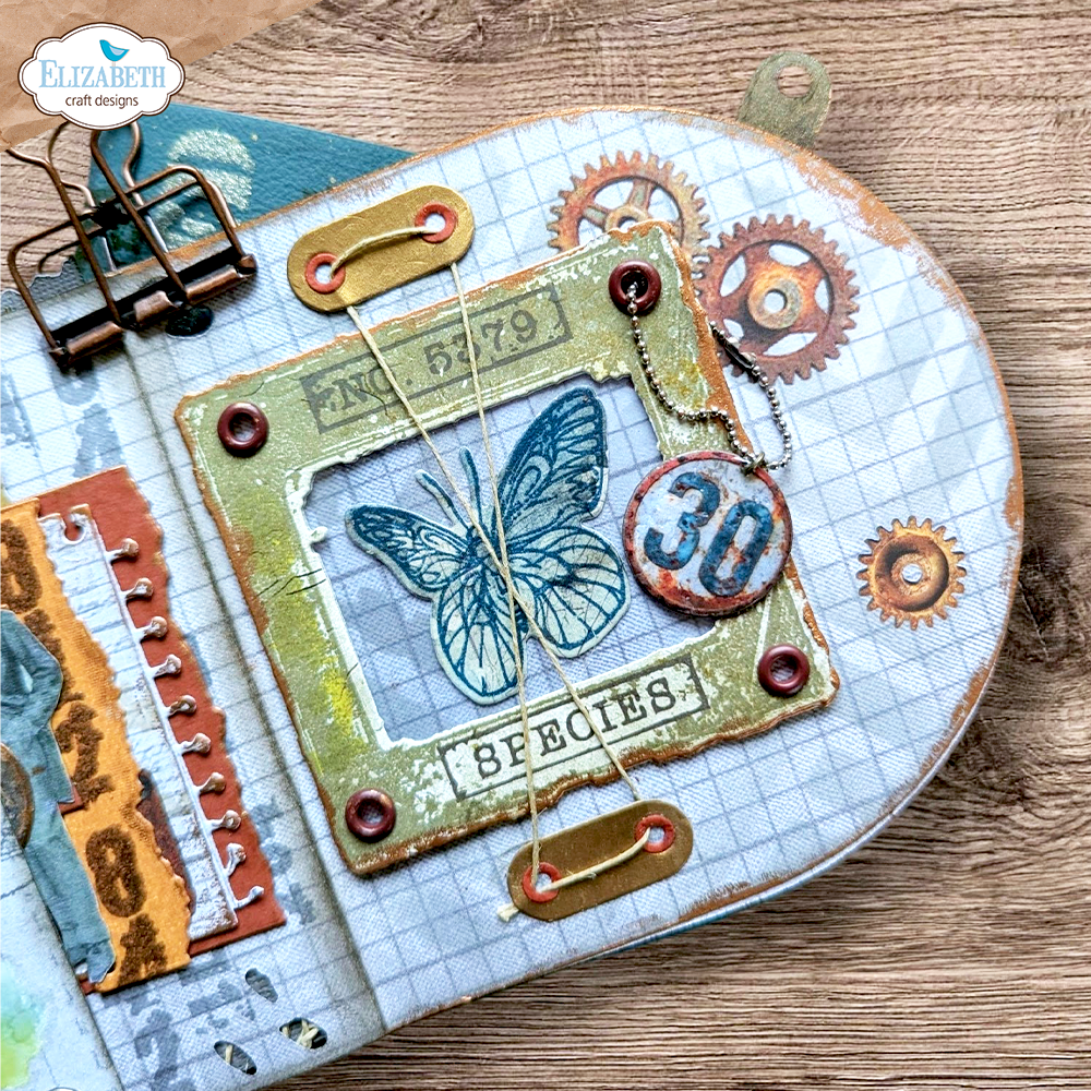 Elizabeth Craft Designs Beautifully Worn Stamp & Dies Where Wings Wander (CSD456) Elizabeth Craft Designs Beautifully Worn Stamp & Dies Where Wings Wander (CSD456)