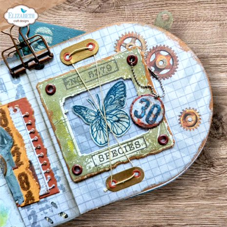 Elizabeth Craft Designs Beautifully Worn Stamp & Dies Where Wings Wander (CSD456) Elizabeth Craft Designs Beautifully Worn Stamp & Dies Where Wings Wander (CSD456)